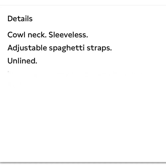 Banana Republic Cowl-Neck Velvet Slip Dress - Picture 5 of 6